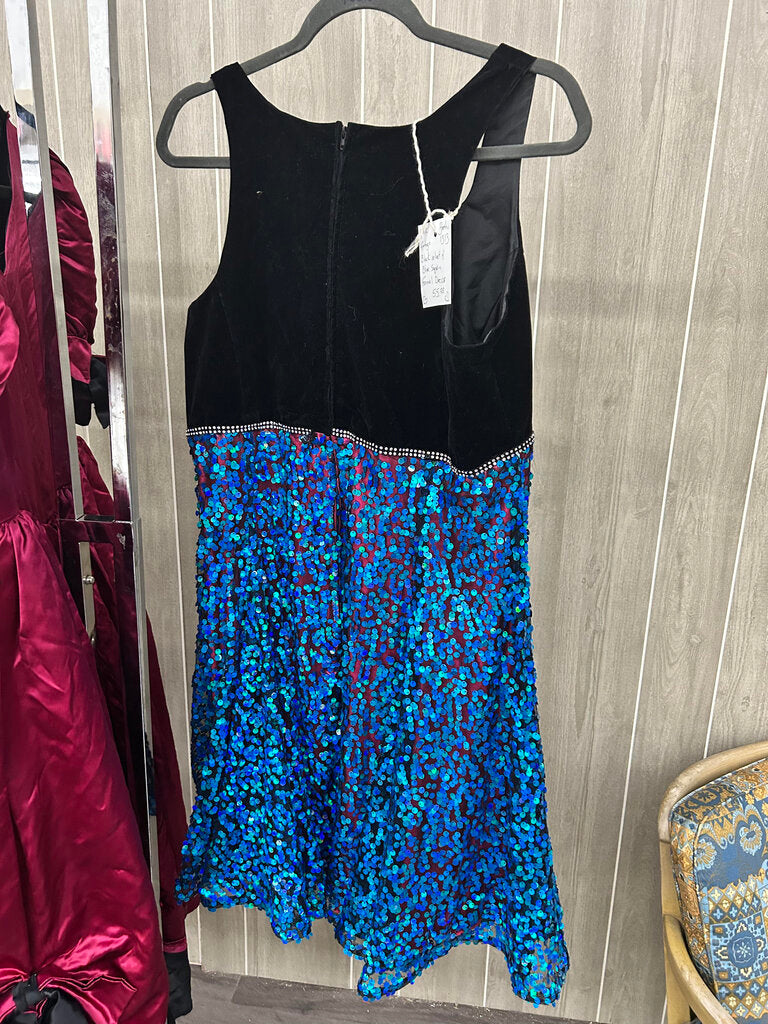 #1313 Black Velvet Sparkle